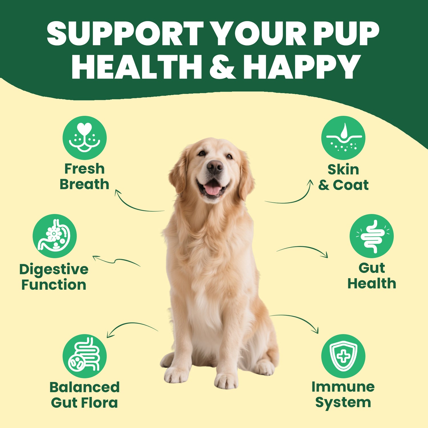 Probiotics for Dogs - Digestive Support Paste for Dogs - Digestive Care, Diarrhea, Loose Stools, Upset Stomach - Dog Gut Health Paste - Dog Probiotic with Prebiotics, Enzyme, Vitamins - Chicken Flavor