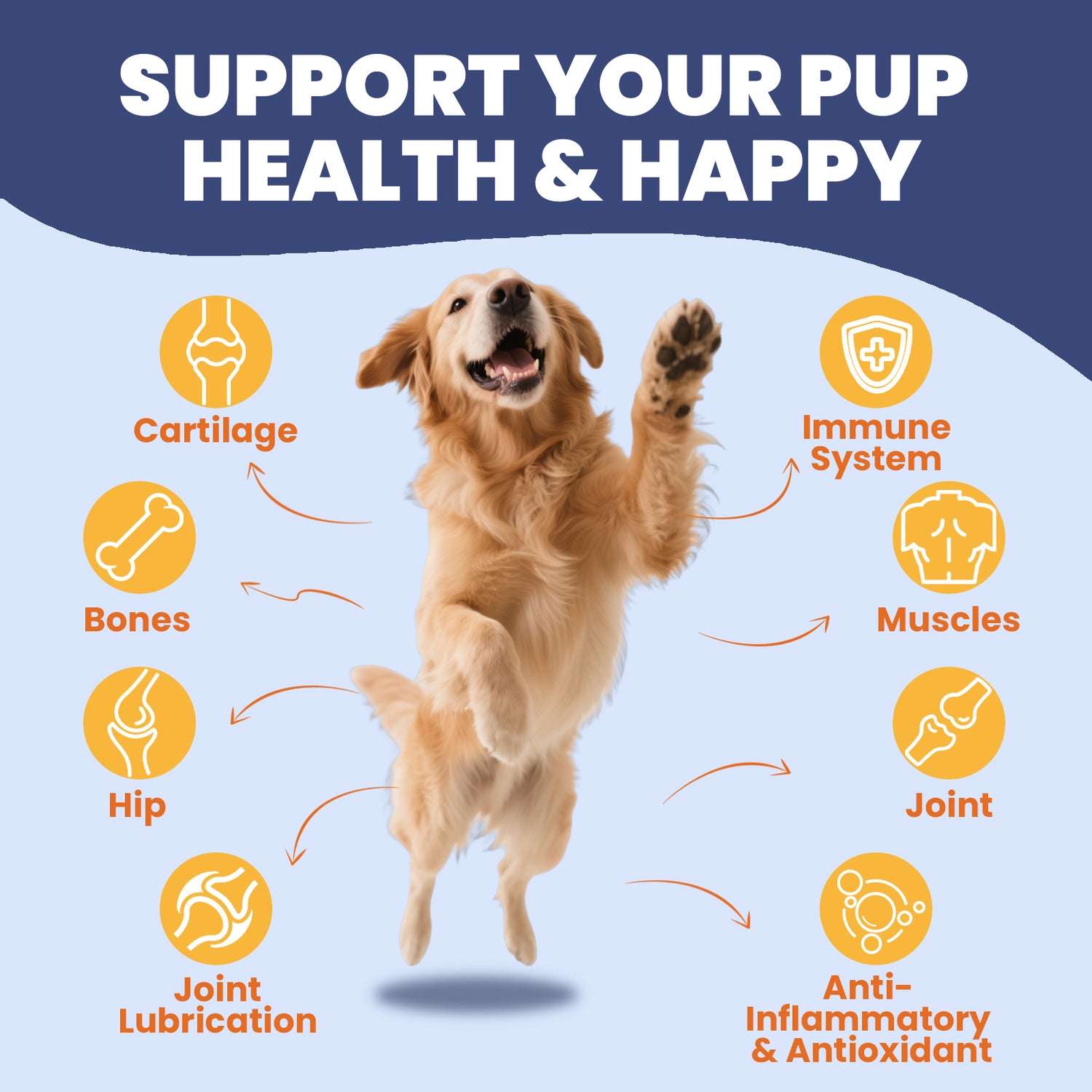 Joint Supplements for Dogs - Dog Joint Supplements for senior dogs with Glucosamine, Chondroitin, MSM - Soothes Joints, Aids Mobility - Green Lipped Mussel for Dogs - Chicken Flavor Paste, 60ML