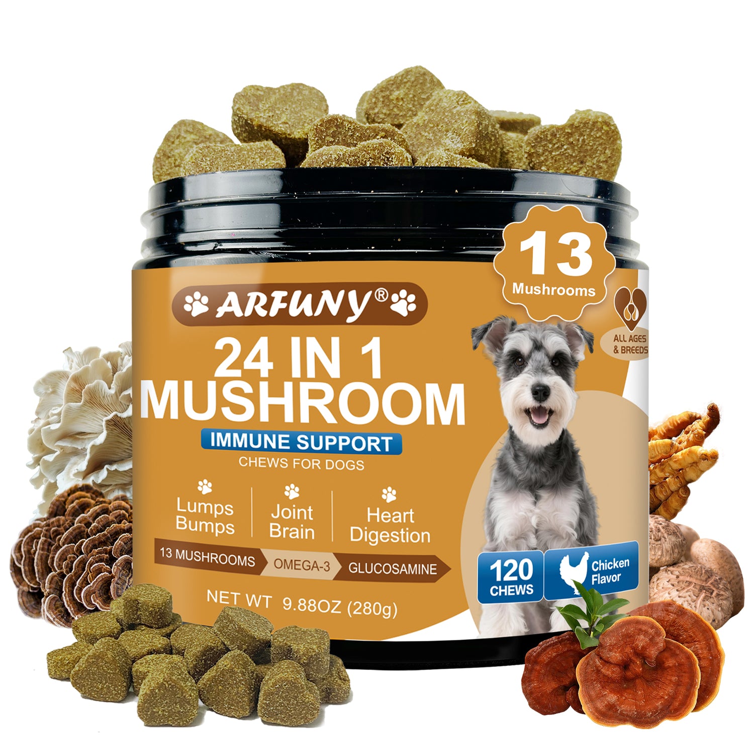 24 In 1  Mushroom Chews