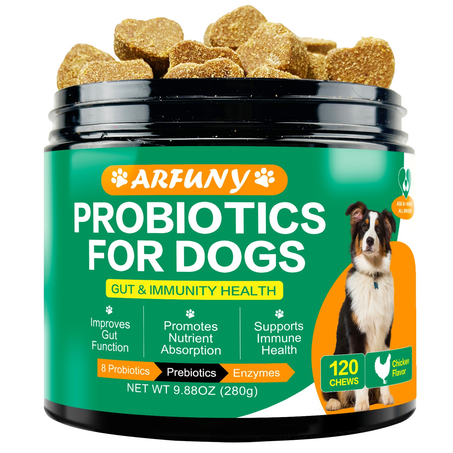 Probiotic Chews