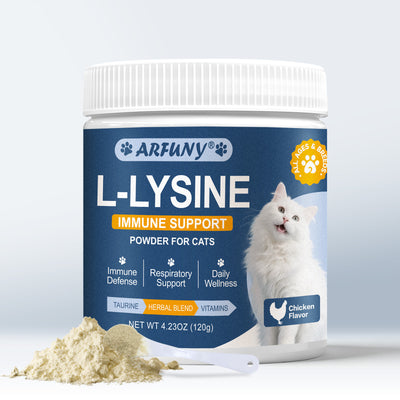 L-Lysine Powder