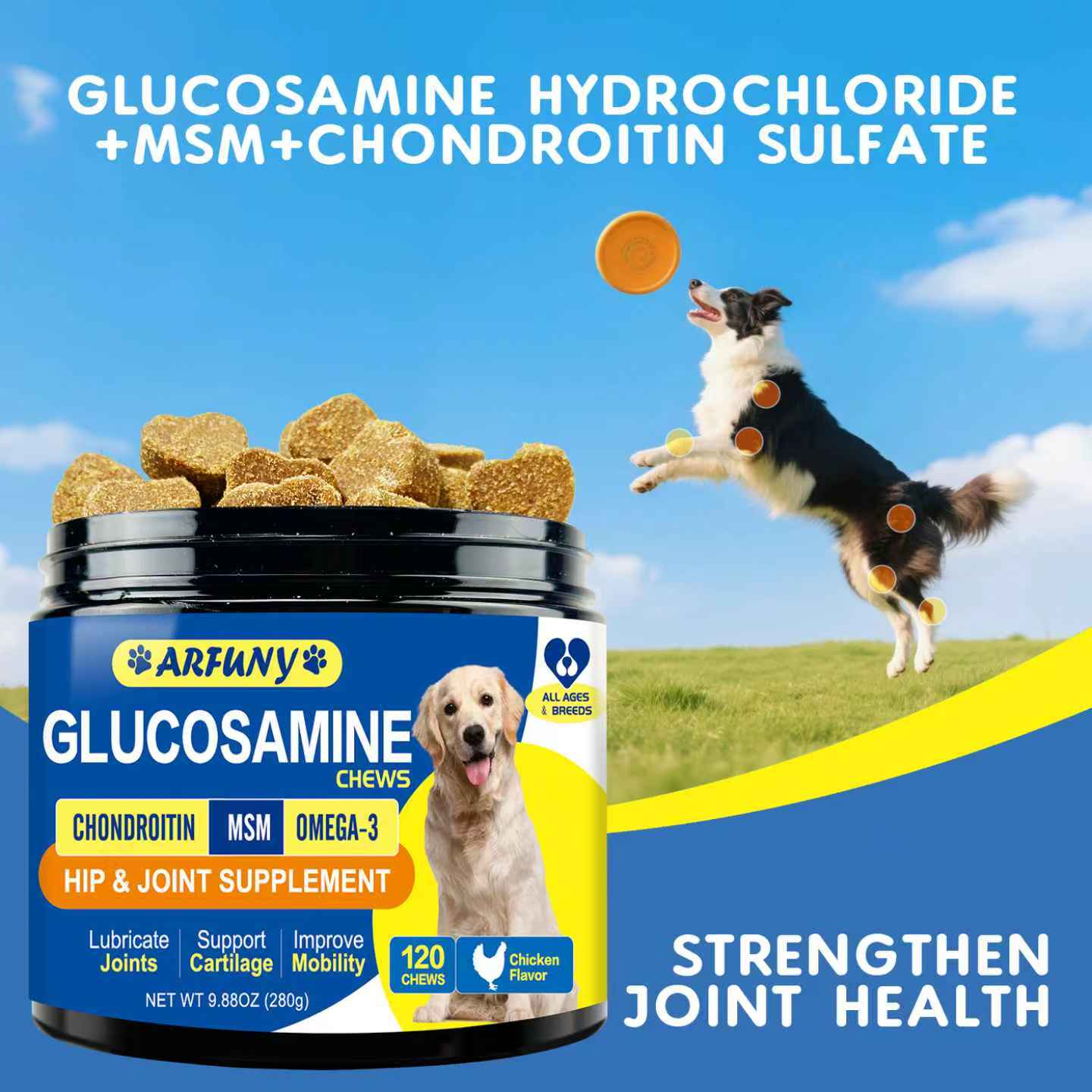 Glucosamine Chews